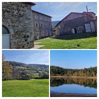 Bilan des locations 2024