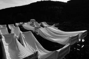 Vival : La mise en hivernage